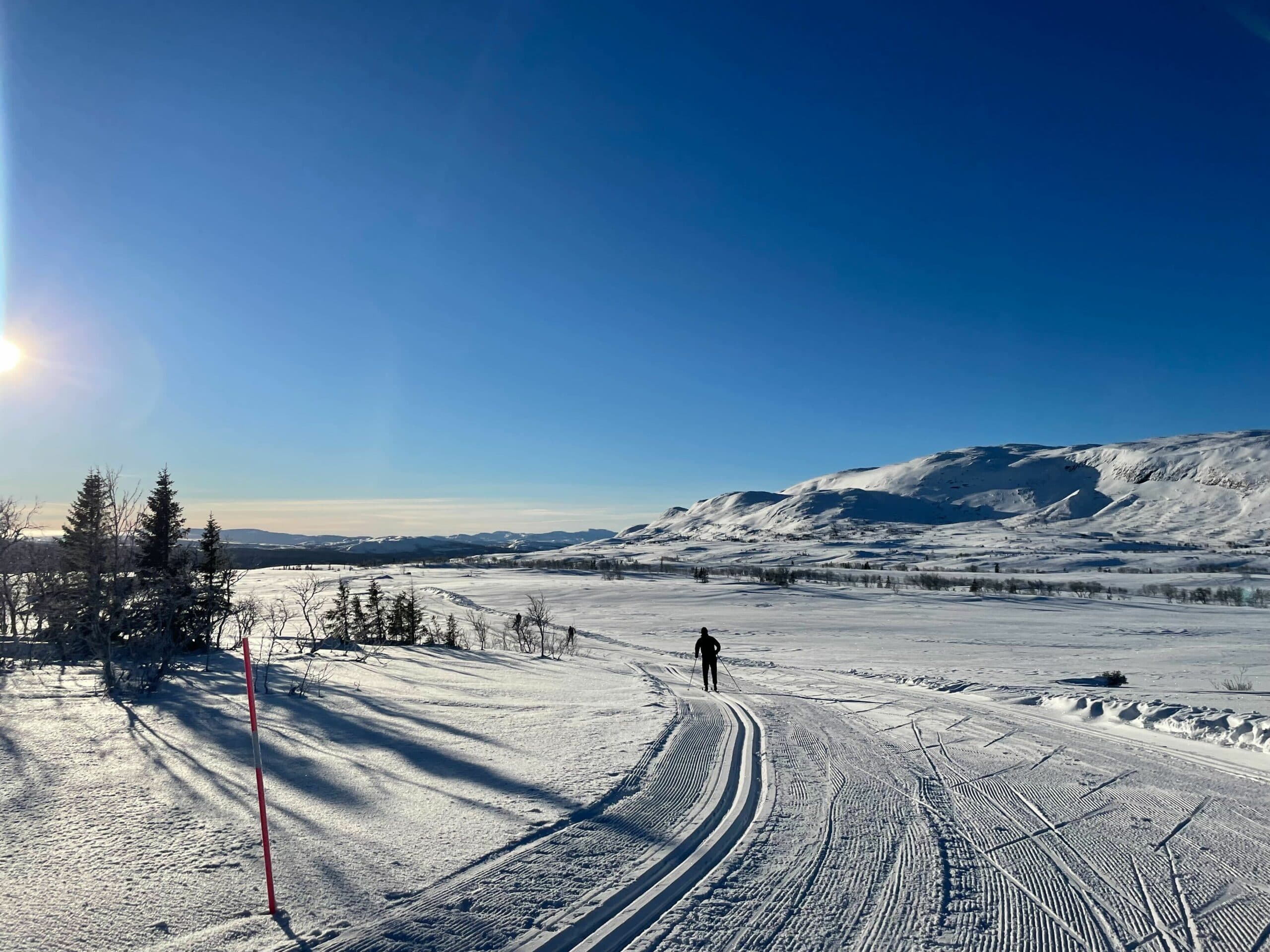 Skidåkning i Åre